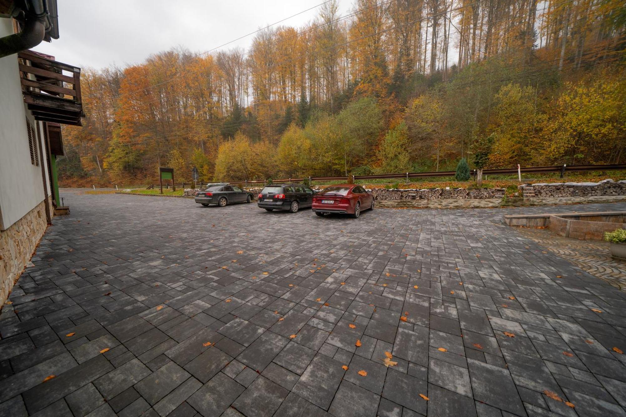 Hotel Popas Turistic Transfagarasan Cîrţişoara Esterno foto